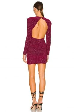 Lovers And Friends Kloss Mini Dress In Maroon Red -Lovers and Friends Sales Shop LOVF WD3233 V4